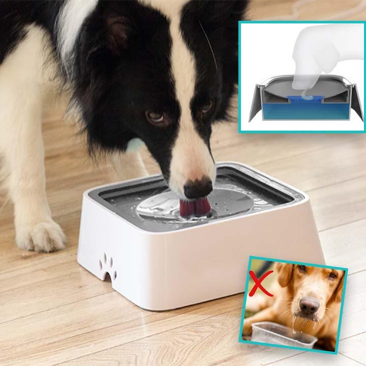 Bol pour chien - WaterBowl™